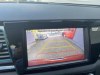 Kia e-Niro ExecutiveLine | Camera | Cruise | CarPlay