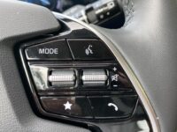 Kia Niro EV DynamicLine 64.8 kWh | cruise adaptive |