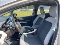 Opel Ampera-e Business executive 60 kWh // Stoelverwarming //