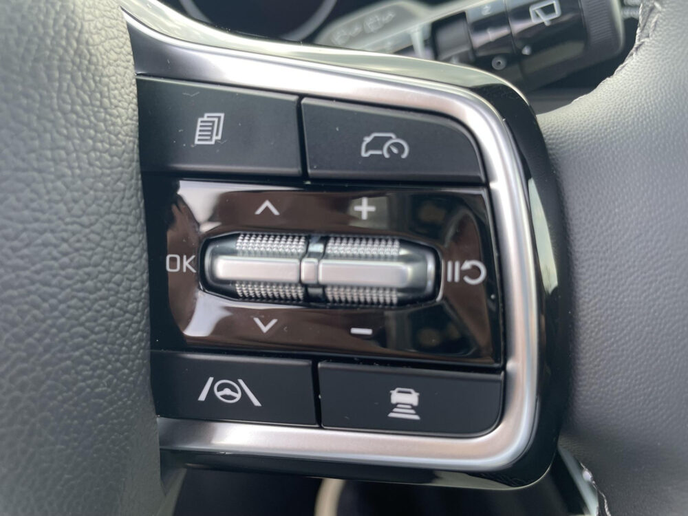 Kia Sorento 1.6 T-GDi Plug-in Hybrid 4WD ExecutiveLine 6p. | 360* Camera | Panorama schuif kantel dak | Stoel verwarming en ventilatie |