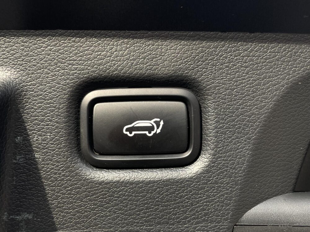 Kia ProCeed 1.5 T-GDI GT-PlusLine PanoDak // 18inch