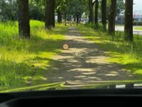 BMW 2-serie Gran Coupé M235i xDrive High Executive | HUD | Harman/Kardon | Alcantara |