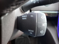 Renault Espace 1.6 TCe Initiale Paris 5p. | Navi | Leder | Camera