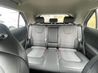 Kia Niro EV DynamicLine 64.8 kWh | Stoel stuur verwarming | Keyless |