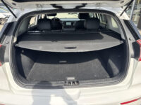 Kia Niro 1.6 GDi Hybrid BusinessLine Navigatie | Camera | Trekhaak |