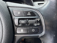 Kia Niro 1.6 GDi Hybrid BusinessLine Navigatie | Camera | Trekhaak |