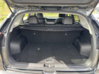 Kia e-Niro DynamicPlusLine 64 kWh | Stoelverwarming | Schuifdak |