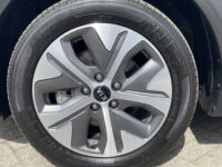 Kia e-Niro DynamicPlusLine 64 kWh | Stoelverwarming | Schuifdak |