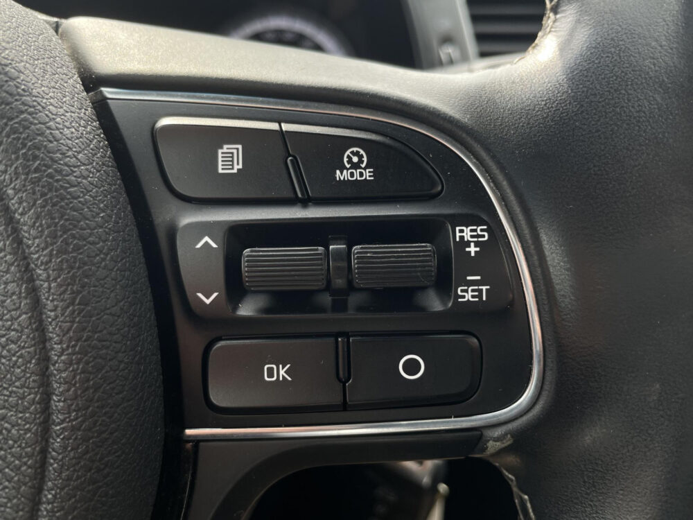 Kia Niro 1.6 GDi Hybrid First Edition | Trekhaak | Achteruitrijcamera |