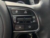 Kia Niro 1.6 GDi Hybrid First Edition | Trekhaak | Achteruitrijcamera |