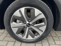 Kia e-Niro DynamicLine 64 kWh | Dodehoek detectie | Keyless | Stoelverwarming |