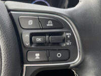 Kia e-Niro DynamicLine 64 kWh | Dodehoek detectie | Keyless | Stoelverwarming |