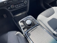 Kia e-Niro DynamicLine 64 kWh | Stoelverwarming | Achteruitrijcamera | Half leder |