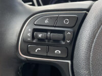 Kia e-Niro DynamicLine 64 kWh | Stoelverwarming | Achteruitrijcamera | Half leder |