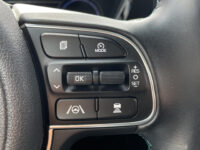 Kia e-Niro DynamicLine 64 kWh | Stoelverwarming | Achteruitrijcamera | Half leder |