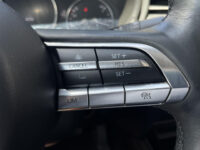 Mazda CX-30 2.0 e-SkyActiv-G M Hybrid Comfort Automaat Leder trekhaak stoelverwarming stuurverwarming dodehoek detectie