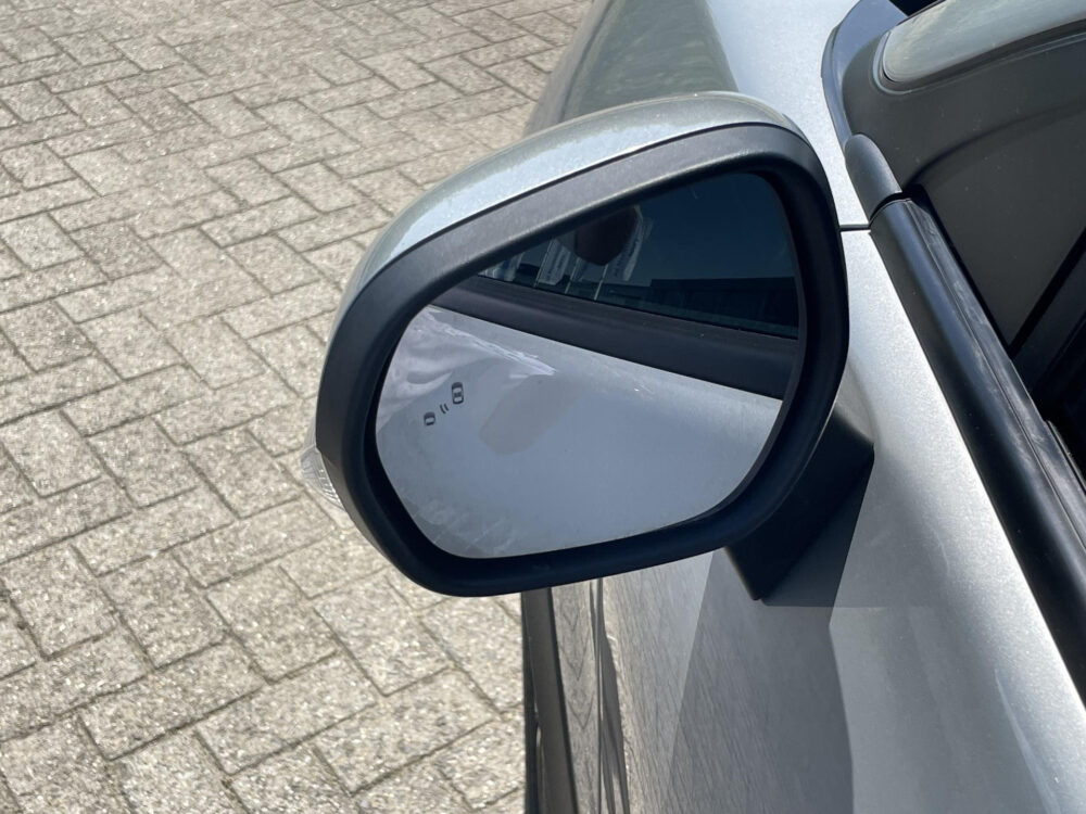Ford Puma 1.0 EcoBoost Titanium | CarPlay | Cruise | afn. Trekhaak |
