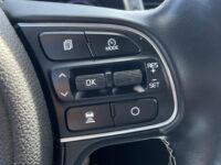 Kia e-Niro ExecutiveLine 64 kWh | Leder | Stoel verwarming en ventilatie | Elektrische stoelen |