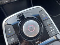 Kia e-Niro ExecutiveLine 64 kWh | Stoelverwarming en ventilatie | Leder | Elektrische stoelen |