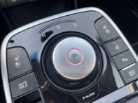 Kia e-Niro ExecutiveLine 64 kWh | Stoelverwarming en ventilatie | Leder | Elektrische stoelen |