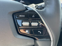 Kia Niro EV Edition 64.8 kWh | SOH 98,2% | Stoel en stuur verwarming | Achteruitrijcamera |
