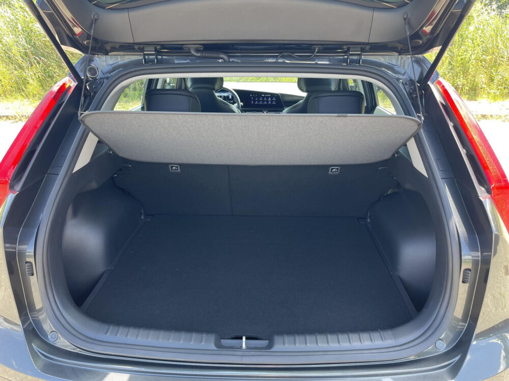 Kia Niro EV Edition 64.8 kWh | SOH 98,2% | Stoel en stuur verwarming | Achteruitrijcamera |