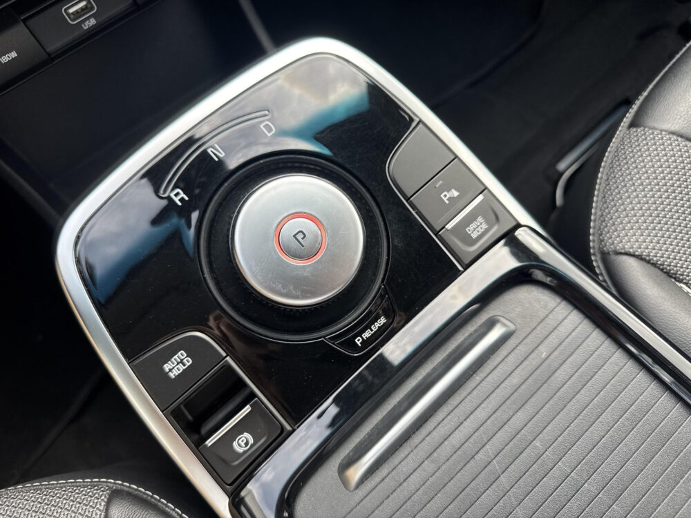 Kia e-Niro DynamicLine 64 kWh Navigatie Camera
