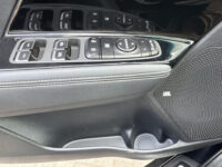Kia e-Niro DynamicLine 64 kWh Navigatie Camera