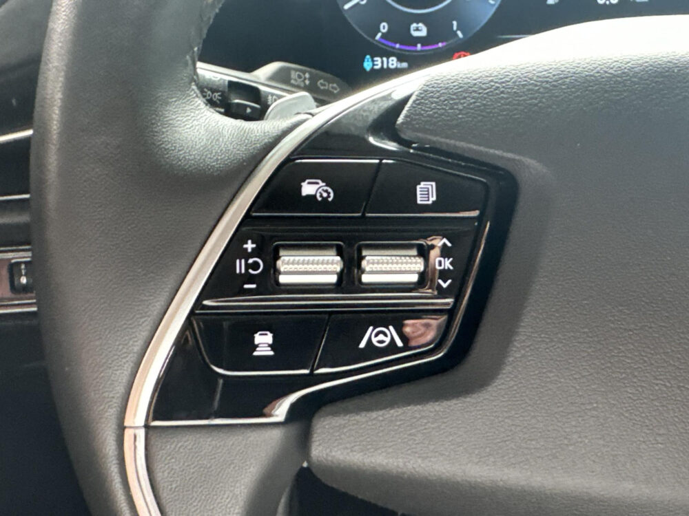 Kia Niro EV Edition Advanced 64.8 kWh | CarPlay | Navi | Leder |