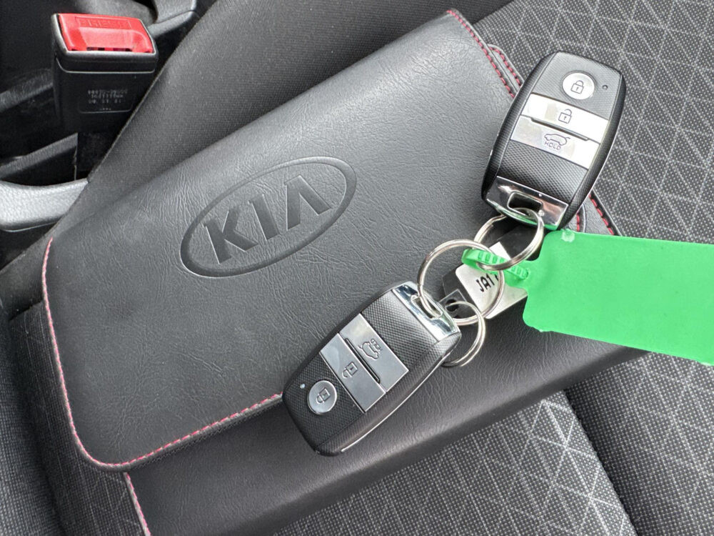 Kia Picanto 1.0 DPi DynamicPlusLine Navigatie / Camera / lichtmetalen velgen / Climat Airco / Cruise Control