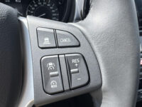 Suzuki S-Cross 1.4 Boosterjet Select Smart Hybrid Camera Navigatie
